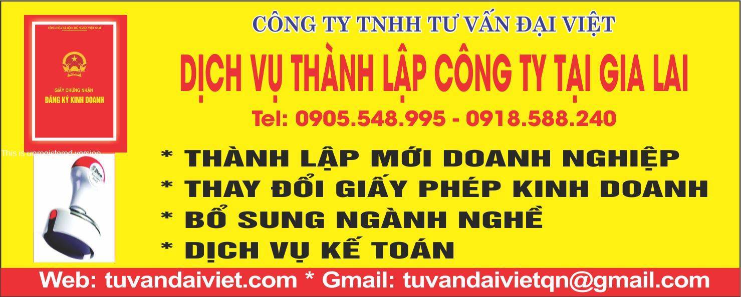 Dịch vụ th&agrave;nh lập c&ocirc;ng ty tại Gia Lai