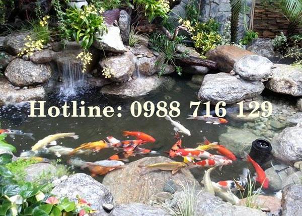 Thiết kế thi c&ocirc;ng tiểu cảnh s&acirc;n vườn tại Thuận Ch&acirc;u